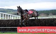 8 December 2013; Forjoethepainter, after unseating jockey Robert Jones, during the Setanta Sports €1 Offer Beginners Steeplechase. Punchestown Racecourse, Punchestown, Co. Kildare. Picture credit: Ramsey Cardy / SPORTSFILE
