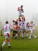 14 December 2013; Dan Tuohy, Ulster, wins possession for his side in a lineout. Heineken Cup 2013/14, Pool 5, Round 4, Benetton Treviso v Ulster. Stadio Comunale di Monigo, Treviso, Italy. Picture credit: Oliver McVeigh / SPORTSFILE