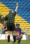 13 March 2005; Sean McMahon, Referee, shows the yellow card to Darren Stamp, Wexford. Allianz National Hurling League, Division 1A, Tipperary v Wexford, Semple Stadium, Thurles, Co. Tipperary. Picture credit; Matt Browne / SPORTSFILE