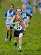 15 December 2013; Malcolm MacEvilly, from Westport Athletic Club, Co. Mayo, on his way to winning the Boys under-11 1500m at the Woodie’s DIY National Novice & Even Age Cross Country Championships. WIT Sports Campus, Carriganore, Co. Waterford. Picture credit: Matt Browne / SPORTSFILE