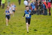 15 December 2013; Finn Looney, from Emerald Athletic Club, Co. Limerick, on his way to winning the Boys under-13 2500m at the Woodie’s DIY National Novice & Even Age Cross Country Championships. WIT Sports Campus, Carriganore, Co. Waterford. Picture credit: Matt Browne / SPORTSFILE