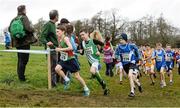 15 December 2013; Malcolm MacEvilly, from Westport Athletic Club, Co. Mayo, on his way to winning the Boys under-11 1500m at the Woodie’s DIY National Novice & Even Age Cross Country Championships. WIT Sports Campus, Carriganore, Co. Waterford. Picture credit: Matt Browne / SPORTSFILE