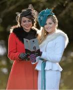28 December 2013; Claire Sherwin, left, from Clonee, Co. Dublin, and Elaine Bury, from Dunboyne, Co. Meath, enjoying a day at the races. Leopardstown Christmas Racing Festival 2013, Leopardstown Racetrack, Leopardstown, Co. Dublin. Picture credit: Matt Browne / SPORTSFILE