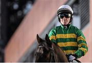 29 December 2013; Noah Webster, with Tony McCoy up, before The Mongey Communications Novice Handicap Hurdle. Leopardstown Christmas Racing Festival 2013, Leopardstown Racetrack, Leopardstown, Co. Dublin. Picture credit: Ramsey Cardy / SPORTSFILE
