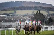 29 December 2013; General view of runners and riders during The Ryanair Maiden Hurdle. Leopardstown Christmas Racing Festival 2013, Leopardstown Racetrack, Leopardstown, Co. Dublin. Picture credit: Ramsey Cardy / SPORTSFILE