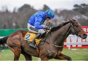 29 December 2013; Hurricane Fly, with Ruby Walsh up, on their way to winning The Ryanair Hurdle. Leopardstown Christmas Racing Festival 2013, Leopardstown Racetrack, Leopardstown, Co. Dublin. Picture credit: Ramsey Cardy / SPORTSFILE