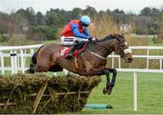 29 December 2013; Theatre Bird, with Bryan Cooper up, jumps the last on their way to winning The IFG European Breeders Fund Mares Hurdle. Leopardstown Christmas Racing Festival 2013, Leopardstown Racetrack, Leopardstown, Co. Dublin. Photo by Sportsfile