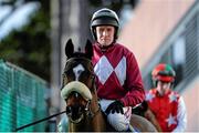 29 December 2013; Dawerann, with Barry Geraghty up, before The Mongey Communications Novice Handicap Hurdle. Leopardstown Christmas Racing Festival 2013, Leopardstown Racetrack, Leopardstown, Co. Dublin. Picture credit: Ramsey Cardy / SPORTSFILE
