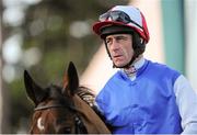 29 December 2013; Sea Light, with Davy Russell up, before The Mongey Communications Novice Handicap Hurdle. Leopardstown Christmas Racing Festival 2013, Leopardstown Racetrack, Leopardstown, Co. Dublin. Picture credit: Ramsey Cardy / SPORTSFILE