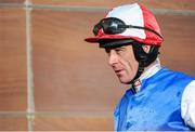 29 December 2013; Davy Russell after winning the Mongey Communications Novice Handicap Hurdle onboard Sea Light. Leopardstown Christmas Racing Festival 2013, Leopardstown Racetrack, Leopardstown, Co. Dublin. Picture credit: Ramsey Cardy / SPORTSFILE