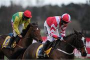 29 December 2013; Stoney, with Bryan Cooper up, during The Ryanair Maiden Hurdle. Leopardstown Christmas Racing Festival 2013, Leopardstown Racetrack, Leopardstown, Co. Dublin. Picture credit: Ramsey Cardy / SPORTSFILE