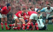 30 January 1999; Andy Matchett, Ulster, scrum half sets up another attack. Heineken European Cup Final, Ulster v Colomiers, Lansdowne Road, Dublin. Picture credit: Brendan Moran / SPORTSFILE