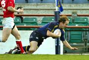25 March 2005; Denis Hickie, Leinster, scores his sides first try against Llanelli Scarlets. Celtic League 2004-2005, Leinster v Llanelli Scarlets, Lansdowne Road, Dublin. Picture credit; Brendan Moran / SPORTSFILE