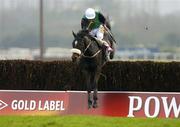 28 March 2005; Numbersixvalverde with Ruby Walsh up,  jumps the last on their way to winning the Powers Gold Label Grand National Steeplechase. Fairyhouse Racecourse, Co. Meath. Picture credit; Damien Eagers / SPORTSFILE