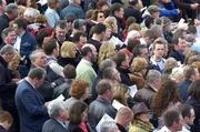 28 March 2005; A section of the crowd pictured before the Powers Gold Label Grand National Steeplechase. Fairyhouse Racecourse, Co. Meath. Picture credit; Damien Eagers / SPORTSFILE
