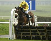 29 March 2005; Levitator with Tom Ryan up, jumps the last on their way to winning the Weatherbys Ireland GSB Hurdle. Fairyhouse Racecourse, Co. Meath. Picture credit; Damien Eagers / SPORTSFILE