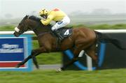 29 March 2005; Levitator with Tom Ryan up, on their way to winning the Weatherbys Ireland GSB Hurdle. Fairyhouse Racecourse, Co. Meath. Picture credit; Damien Eagers / SPORTSFILE