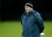 31 December 2013; Anthony Daly, Dublin manager. Annual Hurling Challenge 2014, Dublin v Dublin Blue Stars, Round Towers GAA Club, Clondalkin, Dublin. Picture credit: David Maher / SPORTSFILE