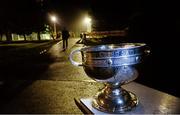 31 December 2013; The Sam Maguire Cup at the entrance to the pitch at Round Towers GAA Club. Annual Football Challenge 2014, Dublin v Dublin Blue Stars, Round Towers GAA Club, Clondalkin, Dublin. Picture credit: David Maher / SPORTSFILE
