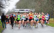 1 January 2014; A general view of the start of the 2014 Tom Brennan Memorial Trophy 5K Road Race. Phoenix Park, Dublin. Picture credit: Tomás Greally / SPORTSFILE