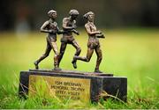 1 January 2014; A general view of the Tom Brennan Memorial Trophy. 2014 Tom Brennan Memorial Trophy 5K Road Race. Phoenix Park, Dublin. Picture credit: Tomás Greally / SPORTSFILE