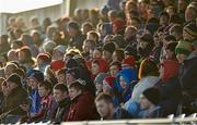 5 January 2014; Spectators look on during the game. McGrath Cup, Quarter-Final, Cork v Limerick Institute of Technology, Mallow GAA Grounds, Mallow, Co. Cork. Picture credit: Diarmuid Greene / SPORTSFILE