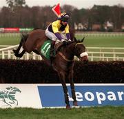 24 January 1999; Blasket Sound, with Shay Barry up, during the Bax Global Handicap Steeplechase at Leopardstown Racecourse in Dublin. Photo by Ray McManus/Sportsfile