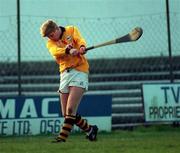 19 November 1995; Martin Carey of Kilkenny during the Church & General National Hurling League match between Kilkenny and Offaly at Nowlan Park in Kilkenny. Photo by Ray McManus/Sportsfile