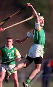 13 March 1999; Martin Storey of Ireland during the Shinty International match between Scotland and Ireland at Bught Park in Inverness, Scotland. Photo by Ray McManus/Sportsfile