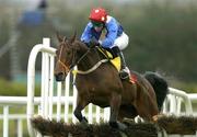 27 April 2005; Strides of Fire, with Robbie Moran up, on their way to winning the Aon Group / Sean Barrett Bloodstock Insurance Hurdle. Punchestown Racecourse, Co. Kildare. Picture credit; Matt Browne / SPORTSFILE