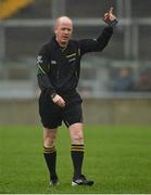 12 January 2014; Referee Derek Fahy during the game. Bord na Mona O'Byrne Cup, Group A, Round 3, Offaly v Wexford, O'Connor Park, Tullamore, Co. Offaly. Picture credit: Barry Cregg / SPORTSFILE
