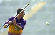 24 April 2005; Declan Ruth, Wexford. Allianz National Hurling League, Division 1, Round 3, Wexford v Clare, Wexford Park, Wexford. Picture credit; Matt Browne / SPORTSFILE