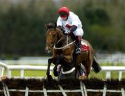 27 April 2005; Hurricane Alley, with Shane McCann up, pictured during the Aon Grp / S.Barrett Bloodstock Ins. Hurdle. Punchestown Racecourse, Co. Kildare. Picture credit; Matt Browne / SPORTSFILE