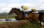 27 April 2005; Prince Of Pleasure, with Alan Crowe up, pictured during the S.M.Morris Ltd. Handicap Steeplechase. Punchestown Racecourse, Co. Kildare. Picture credit; Matt Browne / SPORTSFILE