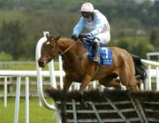 28 April 2005; United, with Leighton Aspell up, clears the last on their way to winning the Colm McEvoy Auctioneers Champion 4yo Hurdle. Punchestown Racecourse, Co. Kildare. Picture credit; Pat Murphy / SPORTSFILE