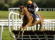28 April 2005; Carlys Quest, with Keith Mercer up, clears the last on their way to winning the Ballymore Properties Champion Stayers Hurdle. Punchestown Racecourse, Co. Kildare. Picture credit; Pat Murphy / SPORTSFILE