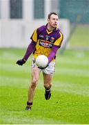 12 January 2014; Paddy Byrne, Wexford. Bord na Mona O'Byrne Cup, Group A, Round 3, Offaly v Wexford, O'Connor Park, Tullamore, Co.Offaly. Picture credit: Barry Cregg / SPORTSFILE