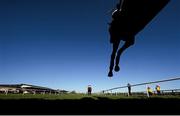 11 January 2014; A general view of runners and riders over the last fence. Punchestown Racecourse. Punchestown Racecourse, Punchestown, Co. Kildare. Picture credit: Ramsey Cardy / SPORTSFILE