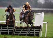 18 January 2014; Ivan Grozny, with Ruby Walsh up, clears the last on their way to winning the Book Hospitality On Line Maiden Hurdle. Naas Racecourse, Naas, Co. Kildare. Picture credit: Barry Cregg / SPORTSFILE