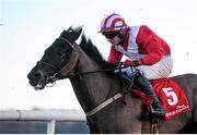 11 January 2014; Shamiran, with Kevin Sexton up. Punchestown Racecourse, Punchestown, Co. Kildare. Picture credit: Ramsey Cardy / SPORTSFILE