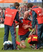 19 January 2014; Paul O'Connell, Munster, receives treatment for an injury just before the end of the first half. Heineken Cup 2013/14, Pool 6, Round 6, Munster v Edinburgh, Thomond Park, Limerick.