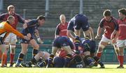8 May 2005; Des Dillon, Leinster goes in over the top in a ruck against Munster. Celtic Cup 2004-2005 Semi-Final, Leinster v Munster, Lansdowne Road, Dublin. Picture credit; Brendan Moran / SPORTSFILE