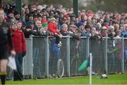 19 January 2014; Spectators look on during the game. FBD League, Section A, Round 3, Roscommon v Mayo, Michael Glaveys GAA Club, Ballinlough, Co. Roscommon. Picture credit: David Maher / SPORTSFILE
