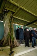 19 January 2014; A general view of the main stand before the start of the game. FBD League, Section A, Round 3, Roscommon v Mayo, Michael Glaveys GAA Club, Ballinlough, Co. Roscommon. Picture credit: David Maher / SPORTSFILE