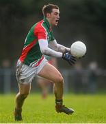 19 January 2014; Shane McHale, Mayo. FBD League, Section A, Round 3, Roscommon v Mayo, Michael Glaveys GAA Club, Ballinlough, Co. Roscommon. Picture credit: David Maher / SPORTSFILE
