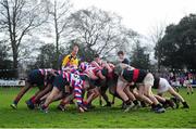21 January 2014; Players from both side's engage in the first scrum of the game. Fr. Godfrey Cup, 2nd Round, Templeogue College v The High School, Lakelands Park, Terenure, Co. Dublin. Picture credit: Ramsey Cardy / SPORTSFILE