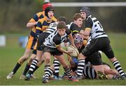 21 January 2014; Finbarr Crowley, Cistercian College. Fr. Godfrey Cup, 2nd Round, Cistercian College v The King's Hospital, Portlaoise RFC, Portlaoise, Co. Laois. Picture credit: Barry Cregg / SPORTSFILE