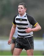 21 January 2014; Tom Byrne, Cistercian College. Fr. Godfrey Cup, 2nd Round, Cistercian College v The King's Hospital, Portlaoise RFC, Portlaoise, Co. Laois. Picture credit: Barry Cregg / SPORTSFILE