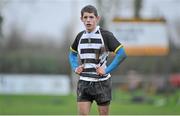 21 January 2014; Robert Enraght Moony, Cistercian College. Fr. Godfrey Cup, 2nd Round, Cistercian College v The King's Hospital, Portlaoise RFC, Portlaoise, Co. Laois. Picture credit: Barry Cregg / SPORTSFILE