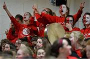 22 January 2014; Supporters from Presentation, Waterford, cheer on their team. All-Ireland Schools Cup U16A Girls Final, Crescent Comprehensive, Co. Limerick v Presentation Waterford. National Basketball Arena, Tallaght, Co. Dublin. Picture credit: David Maher / SPORTSFILE